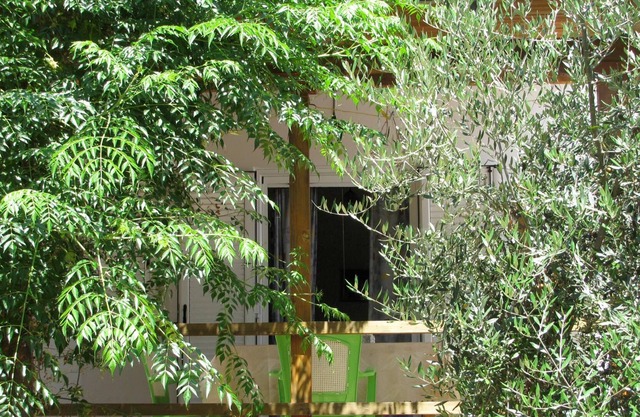 Calm located, amid an olive grove, close to the beach, wifi | holiday house Ilia