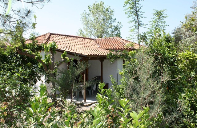 Calm located, amid an olive grove, close to the beach, wifi | holiday house Ilia