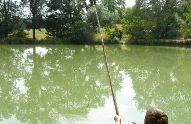 Calm, Private Lake For Fishing, Near Lectoure Spa