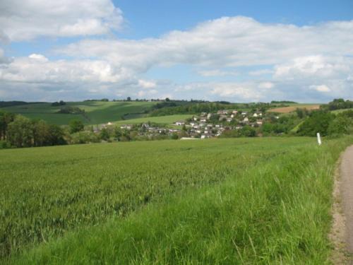CAMPAGNE et FORET