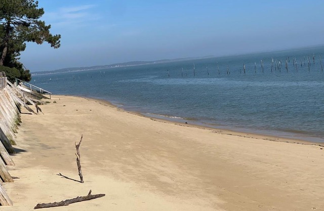 CAP FERRET 44 HA (ref 150)