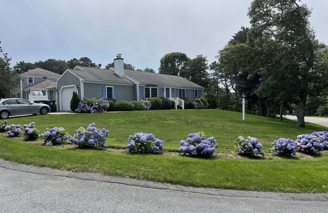 "Cape Escape" Sunny Renovated House - Walk To Beach, Pickleball, Central AC