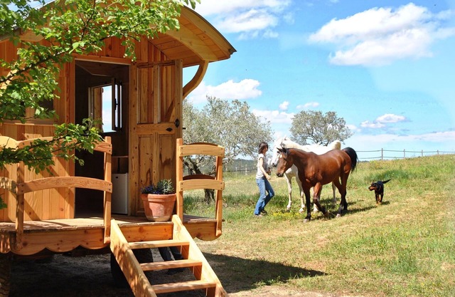 Caravan in Provence near Verdon, Lake St Croix