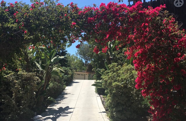 Carlsbad Beauty - Privacy, Close to the Beach, Short drive to Del Mar Racetrack