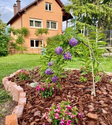 Casa Andalucia