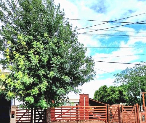 Casa Chalet 6 personas