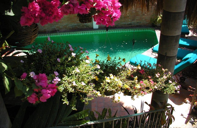 Casa de la Hoja: Lovely Private Villa: Secluded Pool : Perfect Walkable Location