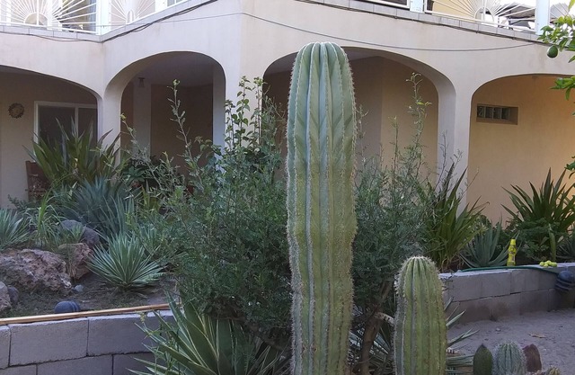Casa Grande is all you are looking for, and more.