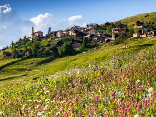 Casa-La Carotto Appartement pour 6 dans chalet