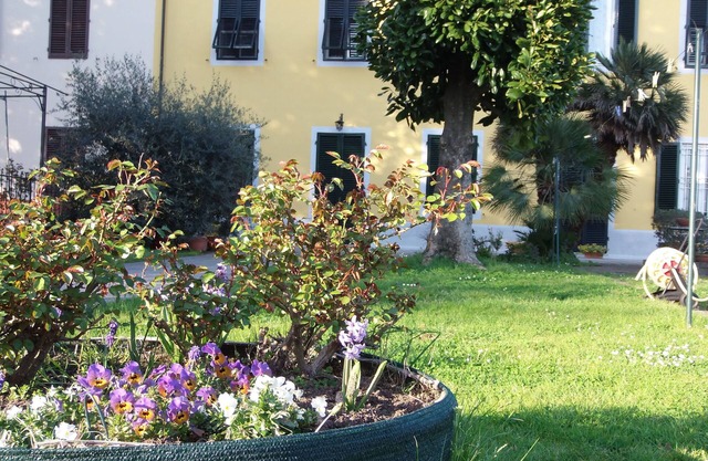 Casa Magnolia just 3 km from Lucca, Wi-Fi and free parking