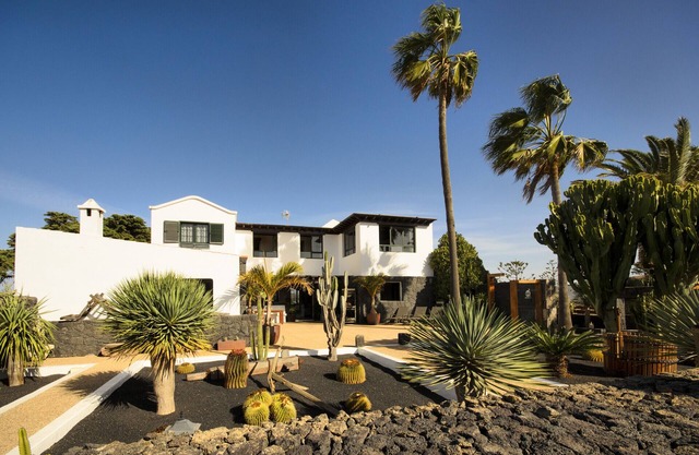 Casa Perdomo, local culture within vines