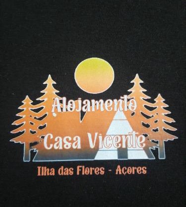 Casa vicente