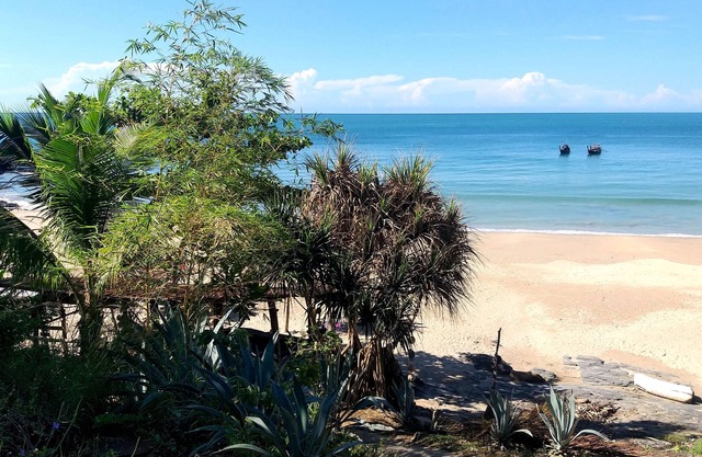 Cashewnut Tree Resort