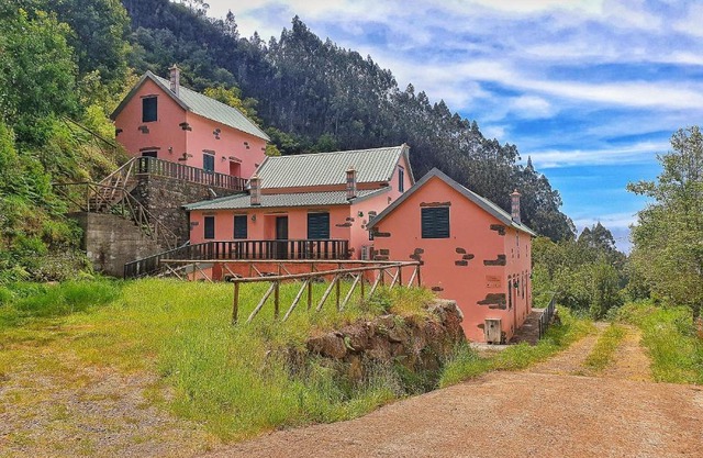 Casinhas da Laurissilva