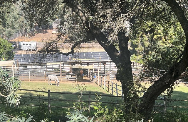 Casita in beautiful Elfin Forest, hiking trails, 20 min to Beach