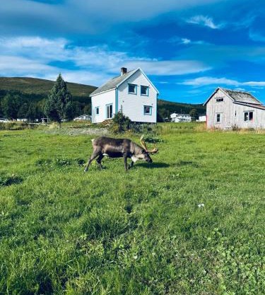 Central and rural house with beautiful view