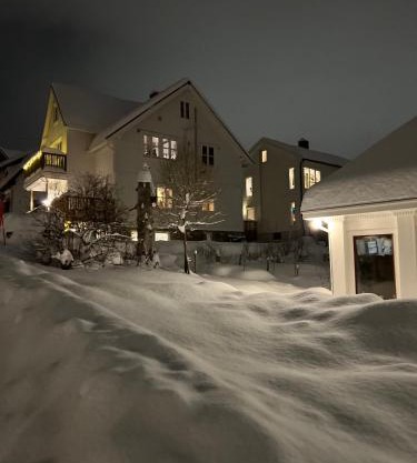 Central Apartment in Down Town Aurora villa