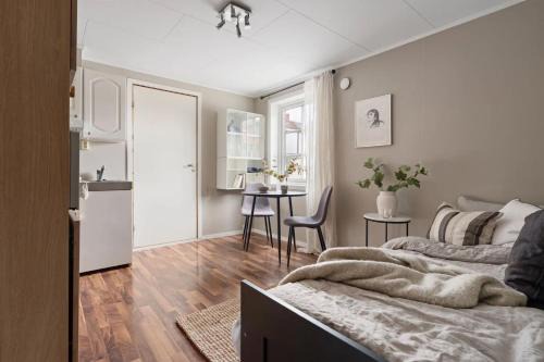 Central studio apartment