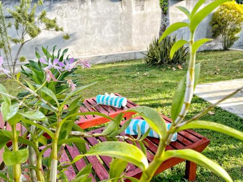 Ceylon Little Paradise