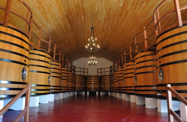 Château Fombrauge - Bernard Magrez Luxury Wine Experience
