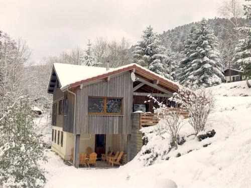 Chalet confortable, proche des pistes de ski, avec jardin, terrasses couvertes et Wi-Fi à La Bresse - FR-1-589-86