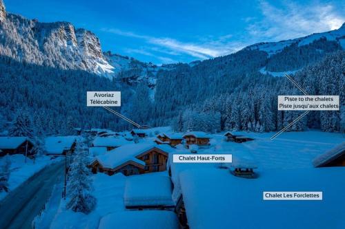 Chalet Hauts Forts Prodains Mountain Voyages