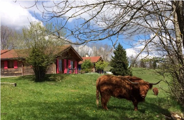 Chalet in the heart of nature near a farm with animals