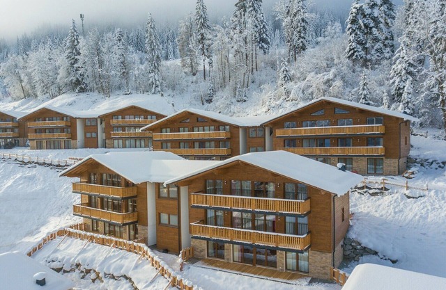 Chalet in Wagrain near Flying Mozart Lift