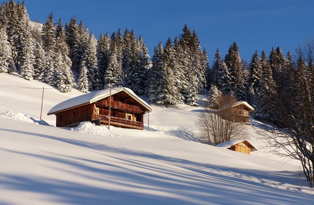 chalet - Les Saisies