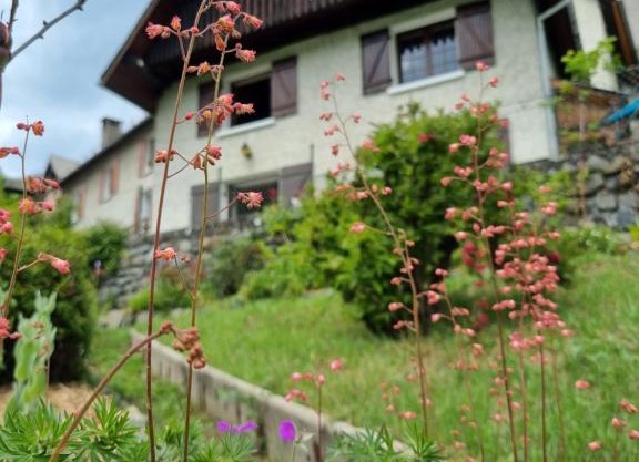 CHALETS JEANNE & ARNOL à Allemond - Grand Domaine Alpe d'Huez