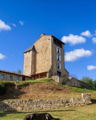 Chambre Rustique du Château Montegut Vue sur les Pyrénées