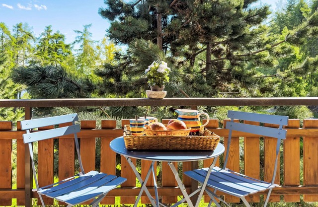 Chamois AZ10 by Interhome