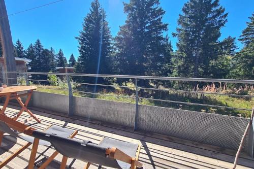 Chamrousse, 50m piste, wifi +, terrasse vue sapins