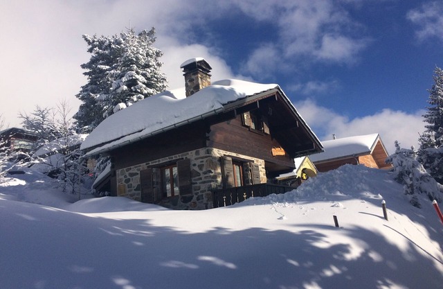 Chamrousse chalet 3 * independent typical wood and stone fireplace +/summer-winter