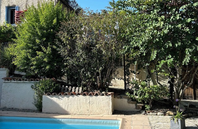 Character house with beautiful pool, set in nature in Villarzel-du-Razès