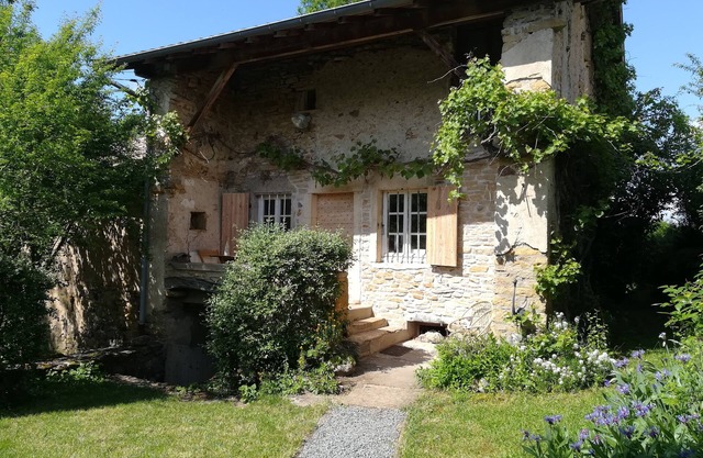 Charm and nature near Cluny