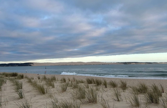 Charm and wild nature for this apartment with terrace in the middle of the dunes