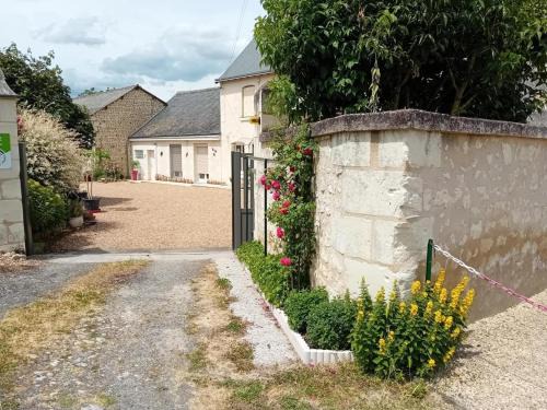 Charmante maison en pierre avec jardin, près de Chinon, Wifi inclus - FR-1-381-608