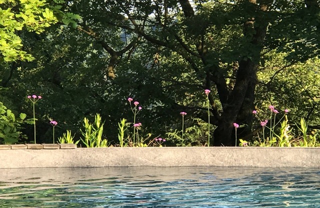 Charme, nature and design in Turin