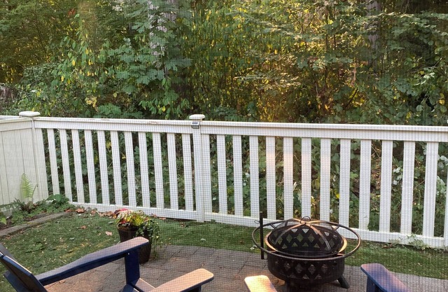 Charming 2-bedroom house in Bothell with AC and dual ensuite masters