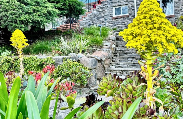 Charming 3-bedroom house in Martinez with fast WiFi and Beautiful backyard