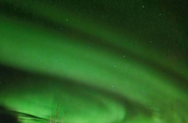 Charming and cozy cottage close to all needs and at same very privat