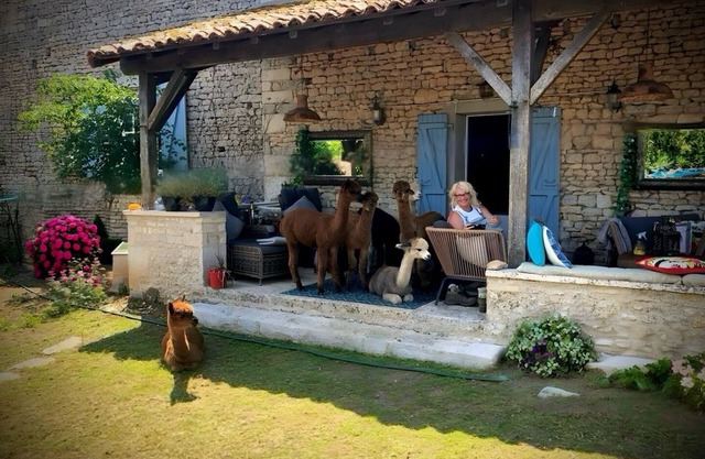 Charming bed & breakfast on an Alpaca Farm in the historic Limalonges Village