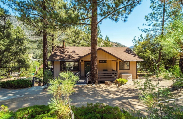 Charming Cabin Getaway Pine Mountain Club