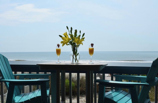 Charming & Cozy 1st Floor Oceanfront and Beachfront Studio-Newly Renovated!