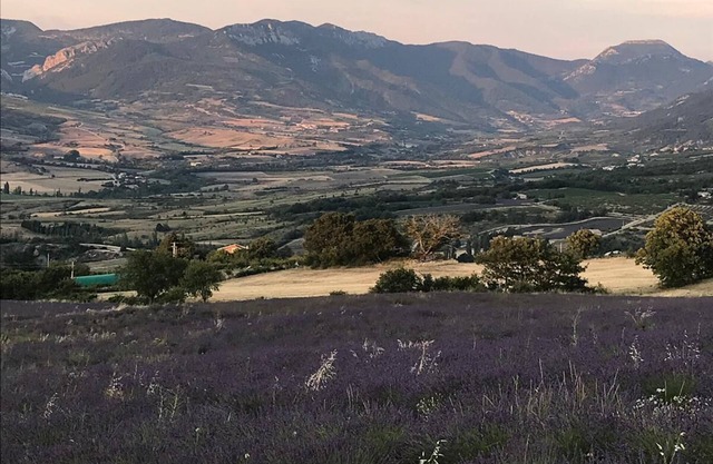 Charming Cycladic Farm