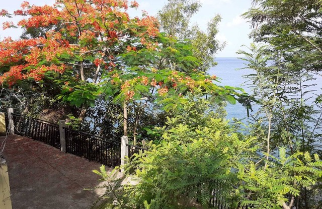 Charming F2 20 meters from the seafront for 3 people or 2 adults and 2 children.