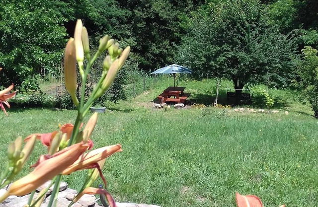 Charming gîte overlooking the Cévennes and 3000m2 grounds