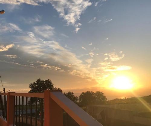 Charming green country house