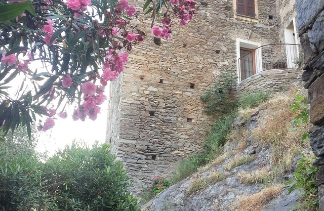 CHARMING HOUSE IN TYPICAL VILLAGE OF HAUTE CORSE